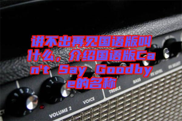 講不出再見(jiàn)國(guó)語(yǔ)版叫什么，介紹國(guó)語(yǔ)版Can't Say Goodbye的名稱