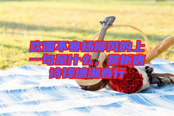 吹面不寒楊柳風(fēng)的上一句是什么，賞析唐詩錢塘湖春行