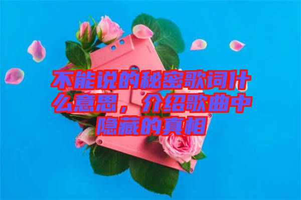 不能說的秘密歌詞什么意思，介紹歌曲中隱藏的真相