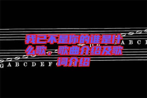 我已不是你的誰是什么歌，歌曲介紹及歌詞介紹