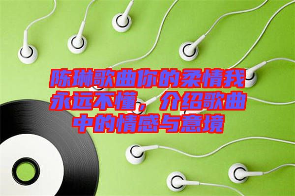 陳琳歌曲你的柔情我永遠(yuǎn)不懂，介紹歌曲中的情感與意境