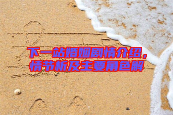 下一站婚姻劇情介紹，情節(jié)析及主要角色解