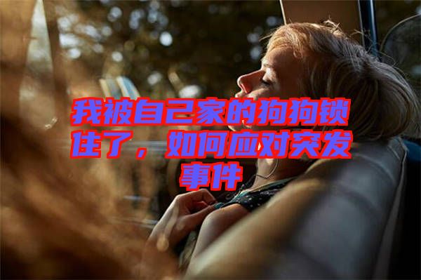 我被自己家的狗狗鎖住了，如何應(yīng)對突發(fā)事件