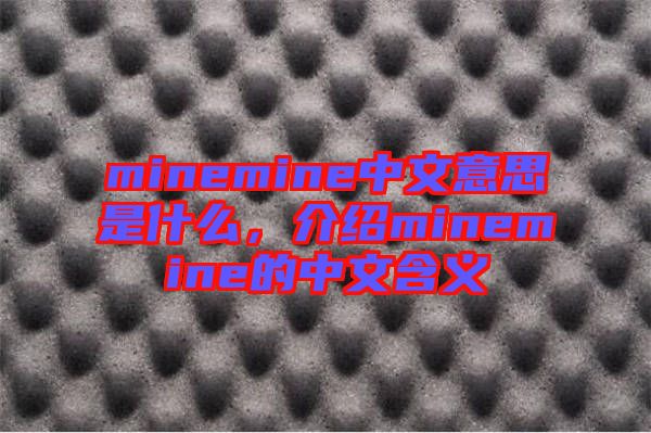 minemine中文意思是什么，介紹minemine的中文含義