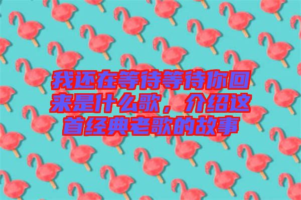 我還在等待等待你回來是什么歌，介紹這首經(jīng)典老歌的故事