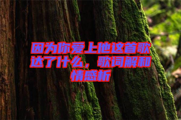 因?yàn)槟銗?ài)上他這首歌達(dá)了什么，歌詞解和情感析