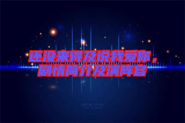 還沒來得及說我愛你，劇情簡介及演陣容