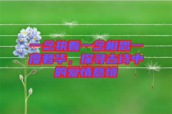 一念執(zhí)著一念相思一度君華，探尋古詩(shī)中的愛(ài)情意境