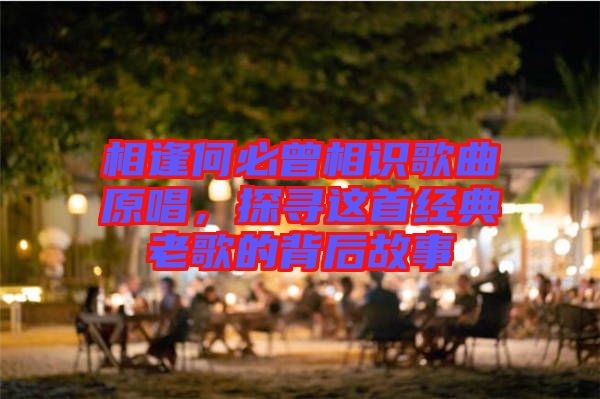 相逢何必曾相識歌曲原唱，探尋這首經(jīng)典老歌的背后故事