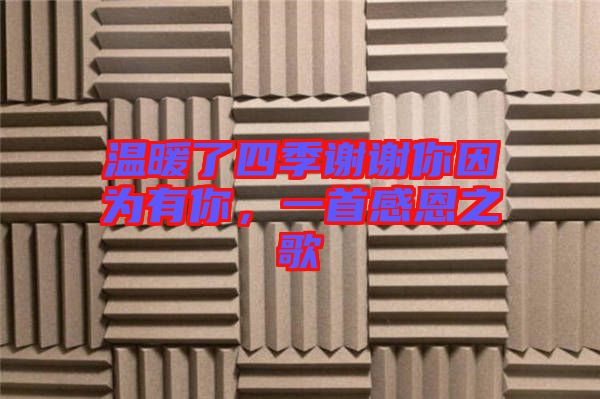 溫暖了四季謝謝你因?yàn)橛心?，一首感恩之? width=