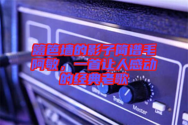 籬笆墻的影子簡譜毛阿敏，一首讓人感動(dòng)的經(jīng)典老歌