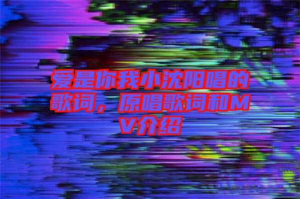 愛是你我小沈陽唱的歌詞，原唱歌詞和MV介紹