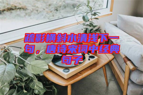疏影橫斜水清淺下一句，唐詩宋詞中經(jīng)典句子