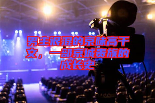 男主很混的京味高干文，一部京城貴族的成長史