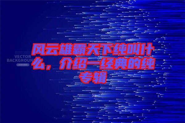 風云雄霸天下純叫什么，介紹一經典的純專輯