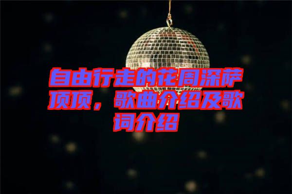 自由行走的花周深薩頂頂，歌曲介紹及歌詞介紹