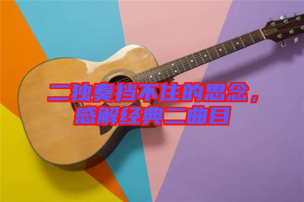 二獨(dú)奏擋不住的思念，感解經(jīng)典二曲目
