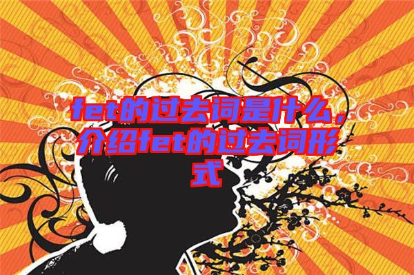 fet的過去詞是什么，介紹fet的過去詞形式