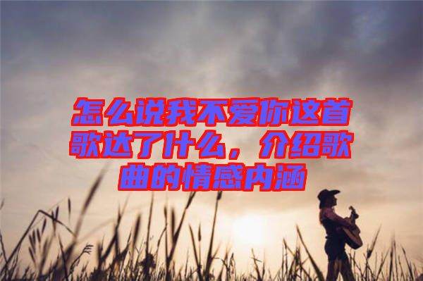 怎么說我不愛你這首歌達(dá)了什么，介紹歌曲的情感內(nèi)涵
