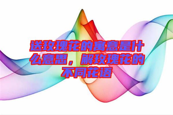送玫瑰花的寓意是什么意思，解玫瑰花的不同花語