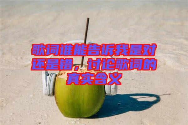 歌詞誰(shuí)能告訴我是對(duì)還是錯(cuò)，討論歌詞的真實(shí)含義