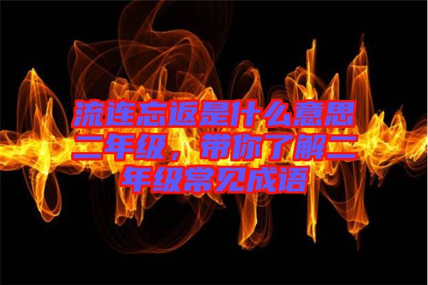 流連忘返是什么意思二年級(jí)，帶你了解二年級(jí)常見(jiàn)成語(yǔ)