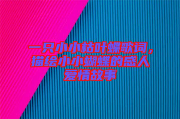 一只小小枯葉蝶歌詞，描繪小小蝴蝶的感人愛情故事