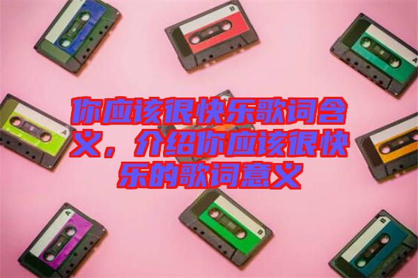 你應(yīng)該很快樂歌詞含義，介紹你應(yīng)該很快樂的歌詞意義