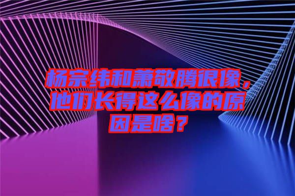 楊宗緯和蕭敬騰很像，他們長(zhǎng)得這么像的原因是啥？