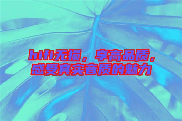 hifi無(wú)損，享高品質(zhì)，感受真實(shí)音質(zhì)的魅力