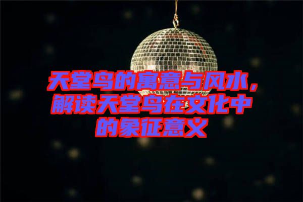 天堂鳥的寓意與風水，解讀天堂鳥在文化中的象征意義
