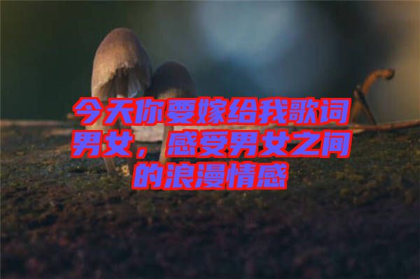 今天你要嫁給我歌詞男女，感受男女之間的浪漫情感