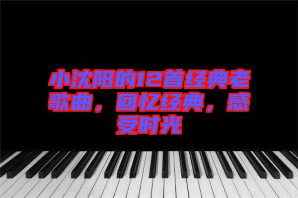 小沈陽的12首經(jīng)典老歌曲，回憶經(jīng)典，感受時光