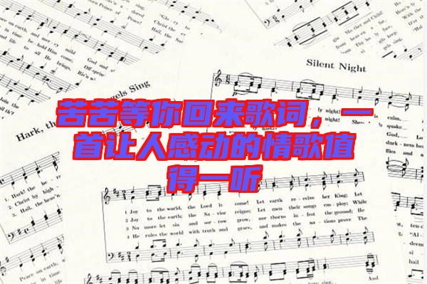 苦苦等你回來歌詞，一首讓人感動的情歌值得一聽