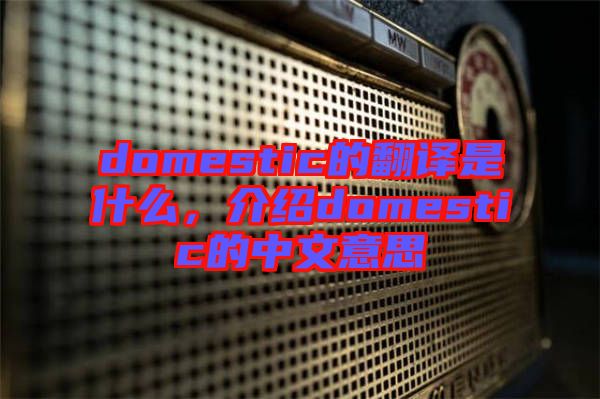 domestic的翻譯是什么，介紹domestic的中文意思