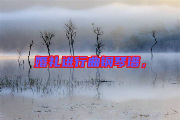 婚禮進(jìn)行曲鋼琴譜，