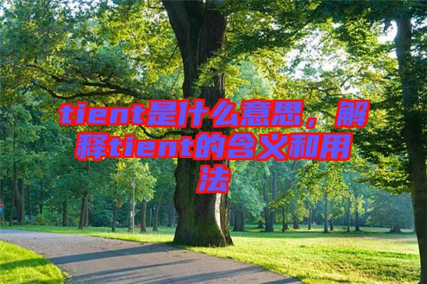 tient是什么意思，解釋tient的含義和用法