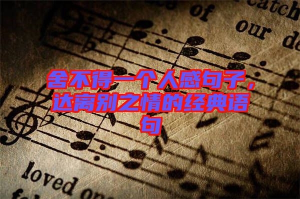 舍不得一個(gè)人感句子，達(dá)離別之情的經(jīng)典語(yǔ)句