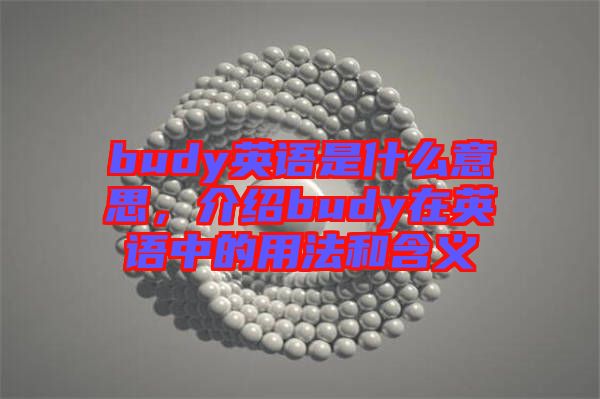 budy英語是什么意思，介紹budy在英語中的用法和含義