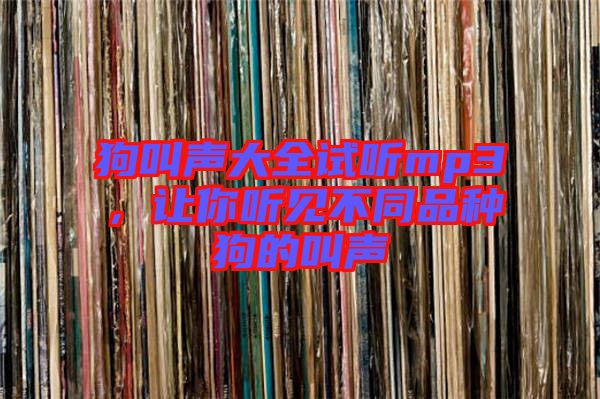 狗叫聲大全試聽mp3，讓你聽見不同品種狗的叫聲