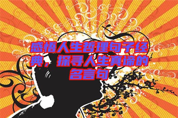 感悟人生哲理句子經(jīng)典，探尋人生真諦的名言句