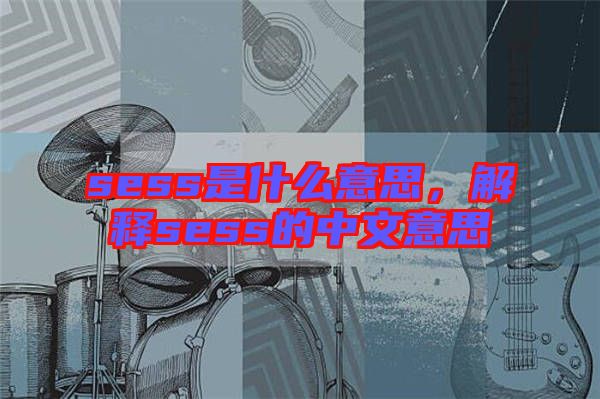 sess是什么意思，解釋sess的中文意思