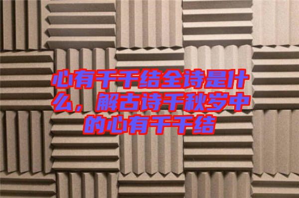 心有千千結(jié)全詩是什么，解古詩千秋歲中的心有千千結(jié)