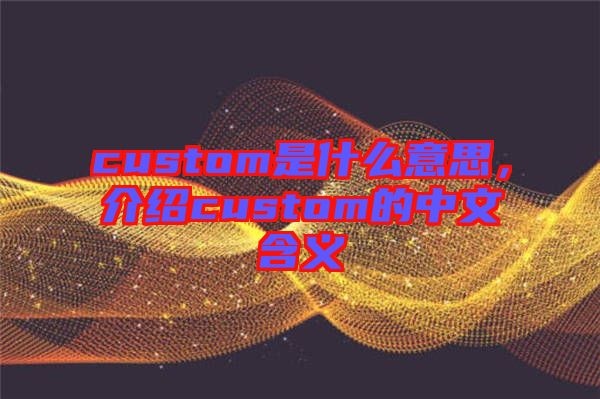 custom是什么意思，介紹custom的中文含義