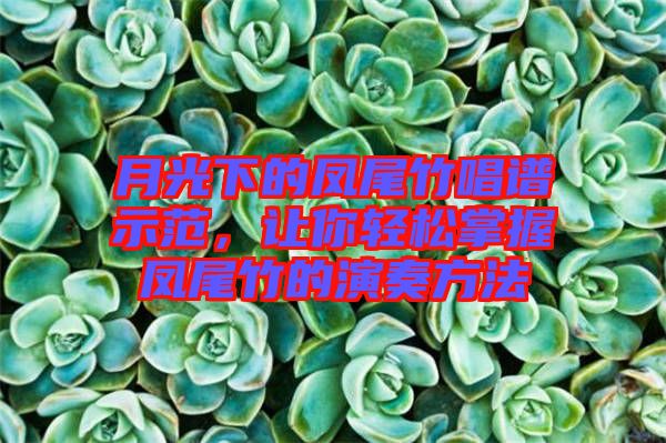 月光下的鳳尾竹唱譜示范，讓你輕松掌握鳳尾竹的演奏方法