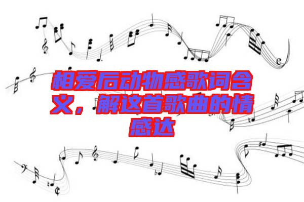 相愛(ài)后動(dòng)物感歌詞含義，解這首歌曲的情感達(dá)