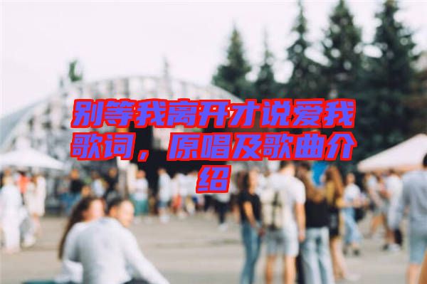 別等我離開才說愛我歌詞，原唱及歌曲介紹