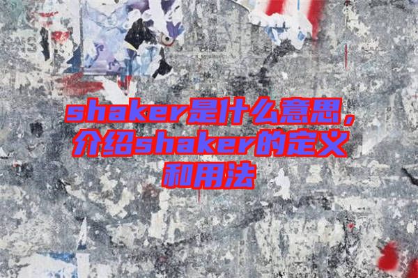 shaker是什么意思，介紹shaker的定義和用法