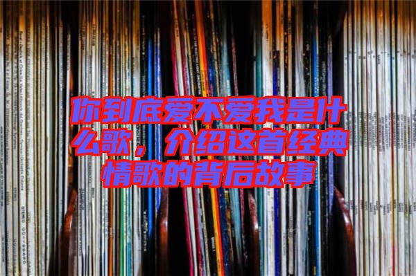 你到底愛不愛我是什么歌，介紹這首經典情歌的背后故事