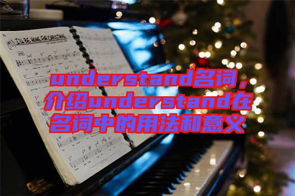 understand名詞，介紹understand在名詞中的用法和意義